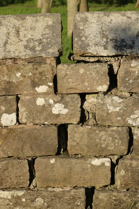 Stone Wall Repair in Bryn Mawr, PA